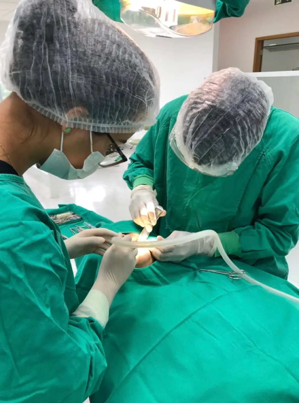 Imagine: IMG_E9558.webp