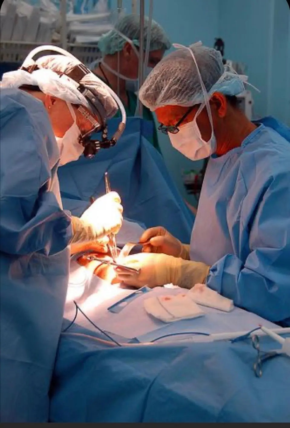 Imagine: WhatsApp Image 2026-02-05 at 07.52.55.webp